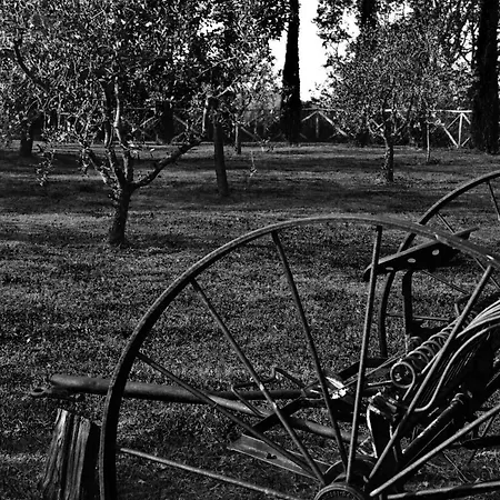 San Francesco Βίλα