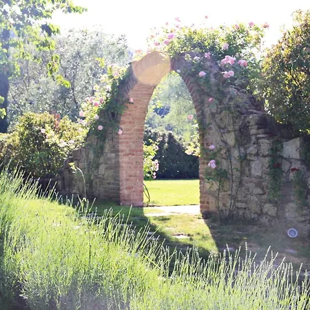 San Francesco * Cetona