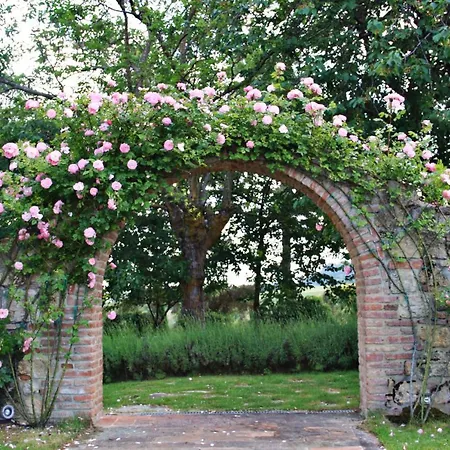 San Francesco Cetona