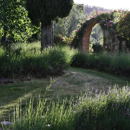 San Francesco Cetona