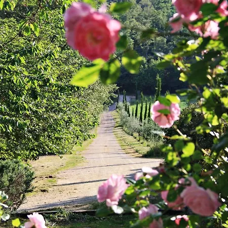 Βίλα San Francesco *