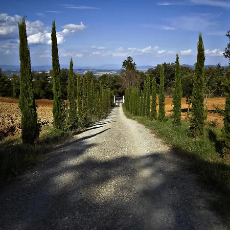 San Francesco Cetona